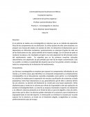 En la práctica se realizo una cromatografía en columna