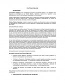 POLÍTICAS PÚBLICAS. son consideradas productos del Sistema Político