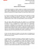 Ensayo agricultura de precision