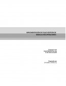 IMPLEMENTACIÓN DE FLUJO GESTION DE MODULO RECUPERACIONES