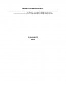 PROYECTO DE INVERSIÓN PARA PARA EL MUNICIPIO DE CHIQUINQUIRÁ