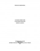 SISTEMA DE GESTION Y SEGURIDAD SALUD EN EL TRABAJO