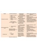HABILIDADES Y DESTREZAS.OPCIÓN DE MERCADO.