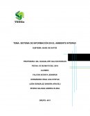 SISTEMA DE INFORMACIÓN EN EL AMBIENTE INTERNO