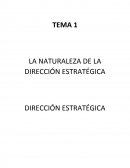 LA NATURALEZA DE LA DIRECCIÓN ESTRATÉGICA-