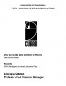 10 acciones para cambiar a Mexico