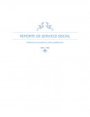 REPORTE DE SERVICIO SOCIAL.