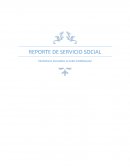 REPORTE DE SERVICIO SOCIAL.