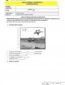 GÚIA DE TRABAJO Y REFUERZO N°5