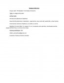 Ensayo sobre “El Matadero” de Esteban Echeverría