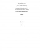 INFORME DE LABORATORIO N°1 TITULACIONES DE ÁCIDOS Y BASES