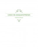 El trastorno que observaremos en este caso expuesto, se trata de un trastorno de personalidad esquizotipico.