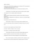 ANATOMIA EXTERNA DE LA M.E.