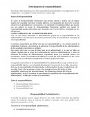 Determonacion de respondabilidades.