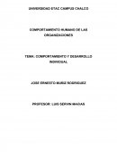 Comportamiento y desarrollo individual