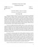 ANALISIS DE COYUNTURA