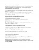 La constitución en un inicio se inspiro en el modelo norteamericano.