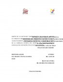 DISEÑO DE UN SOFTWARE ADMINISTRATIVO DE LENGUAJE ABIERTO EN FORMATO PROGRAMÁTICO QUE BENEFICIE Y DE RESPUESTAS DE ALMACENAMIENTO..