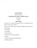 Proyecto final anatomofisiologia