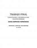 CAPACITACION Y DESARROLLO DEL TALENTO HUMANO.