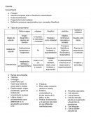 Filosofía Conocimiento