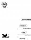 ¿Que refleja la matriz insumo producto?