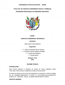 PROGRAMA PROFESIONAL DE INGENIERIA INDUSTRIAL.. Página 1