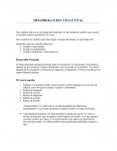 Desarrollo del ciclo vital.