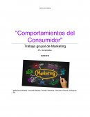 Comportamientos del consumidor..