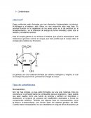 Función de los carbohidratos y del agua.