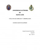 TEMA- Reporte de investigación documental y de campo sobre las representaciones sociales que se tienen acerca de su profesión en los contextos actuales.