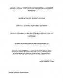 DEFINICIÓN Y CONTEXTUALIZACIÓN DE LAS ESTRATEGIAS DE ENSEÑANZA