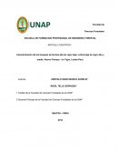 Caracterización de los bosques de terraza alta de vigor bajo, colina baja de vigor alto y medio. Nuevo Firmeza-río Tigre, Loreto-Perú.