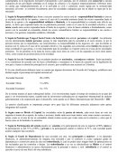 CLASIFICACIÓN DE LAS SOCIEDADES.