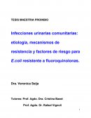 Riesgo de IU resistente a fluoroquinolonas
