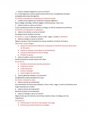 Funciones del aparato digestivo.