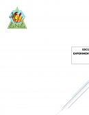 Informe de prácticas relacionado con los indicadores de observación