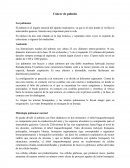 Cáncer de pulmon. Histología pulmonar normal