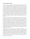 Importancia del plan de medios