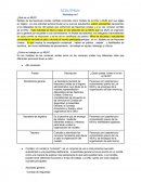 SCOUTMUN - ¿Qué es un MUN?