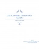 CIRCULAR ÚNICA DE SEGUROS Y FIANZAS.