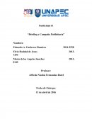 Briefing y Campaña Publicitaria.