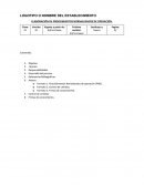 ELABORACION DE PROCEDIMIENTOS NORMALIZADOS DE OPERACION
