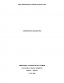 PROFUNDZACION DEL DECRETO 2650