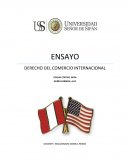 ANALISIS DEL TLC PERÚ - EEUU.