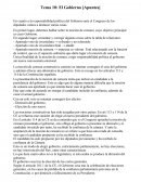 En cuanto a la responsabilidad política del Gobierno ante el Congreso de los diputados vamos a destacar varias cosas.