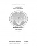 Requerimiento Nutricional de Musa paradisiaca.