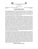 EXPLORADORES DE CAVERNAS. PLANTEAMIENTO DEL PROBLEMA.