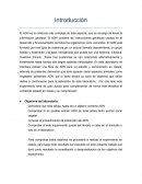 Informe ADN Plátano