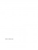 MODULO II: EL EQUILIBRIO DEL MERCADO Y SUS GRADOS DE RESPUESTA